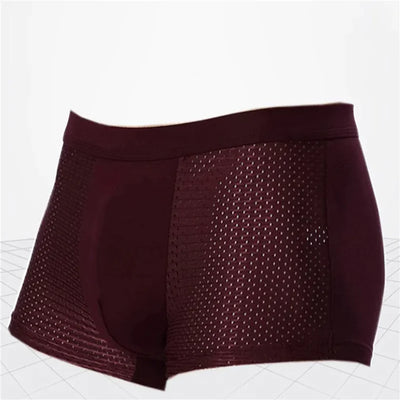 Ashton - Atmungsaktive Mesh-Boxershorts mit elastischem Bund